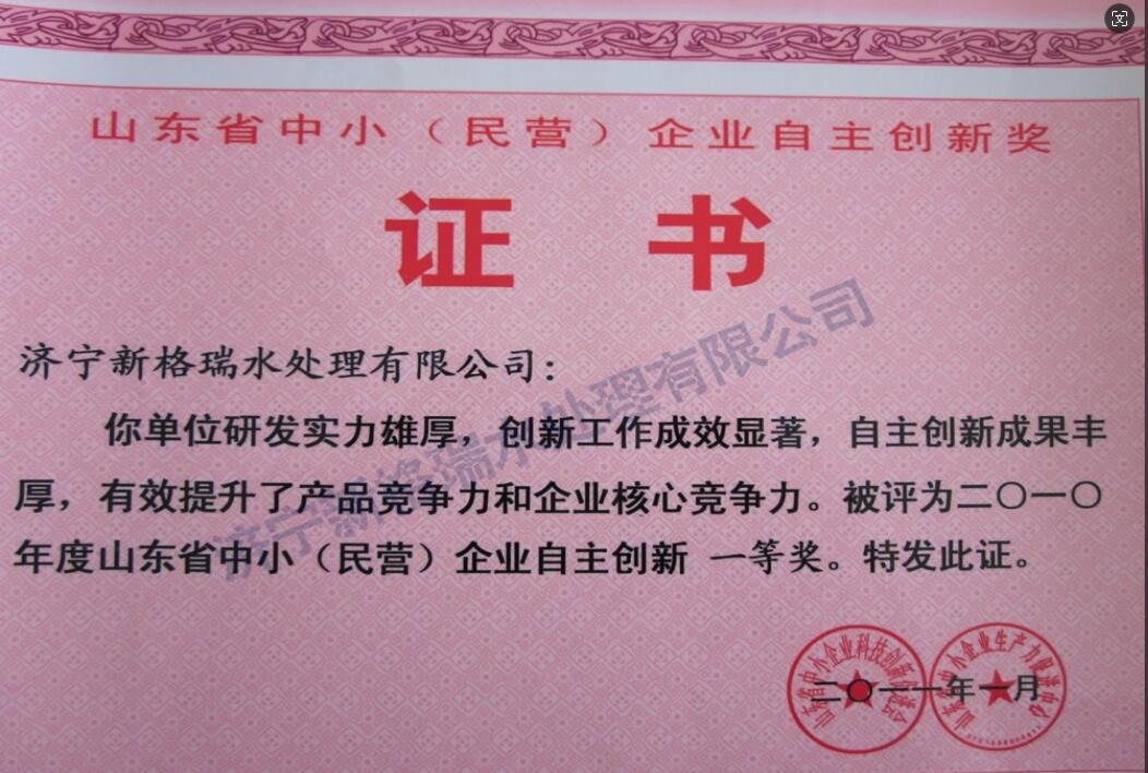 山東省中?。駹I）企業(yè)自主創(chuàng)新一等獎(jiǎng)