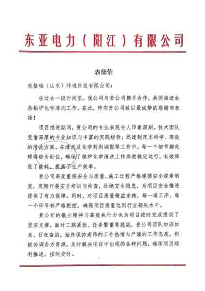 攜手共贏·匠心服務(wù)再獲認(rèn)可 ——欣格瑞公司承接的東亞電力（陽江）余熱鍋爐化學(xué)清洗項(xiàng)目獲客戶表?yè)P(yáng)